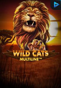 Bocoran RTP Wild Cat Multiline di SENSA838 - GENERATOR SLOT RTP RESMI SERVER PUSAT