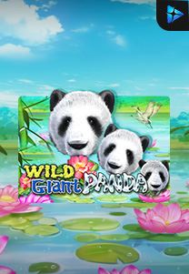 Bocoran RTP Wild Giant Panda di SENSA838 - GENERATOR SLOT RTP RESMI SERVER PUSAT