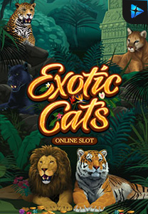 Bocoran RTP exoticcats di SENSA838 - GENERATOR SLOT RTP RESMI SERVER PUSAT